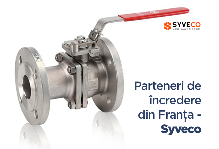 Syveco.png